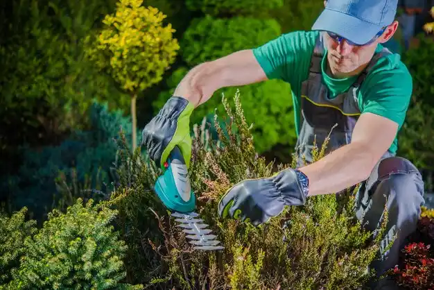 landscaping services Sandersville